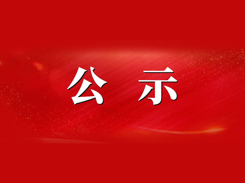 公  示